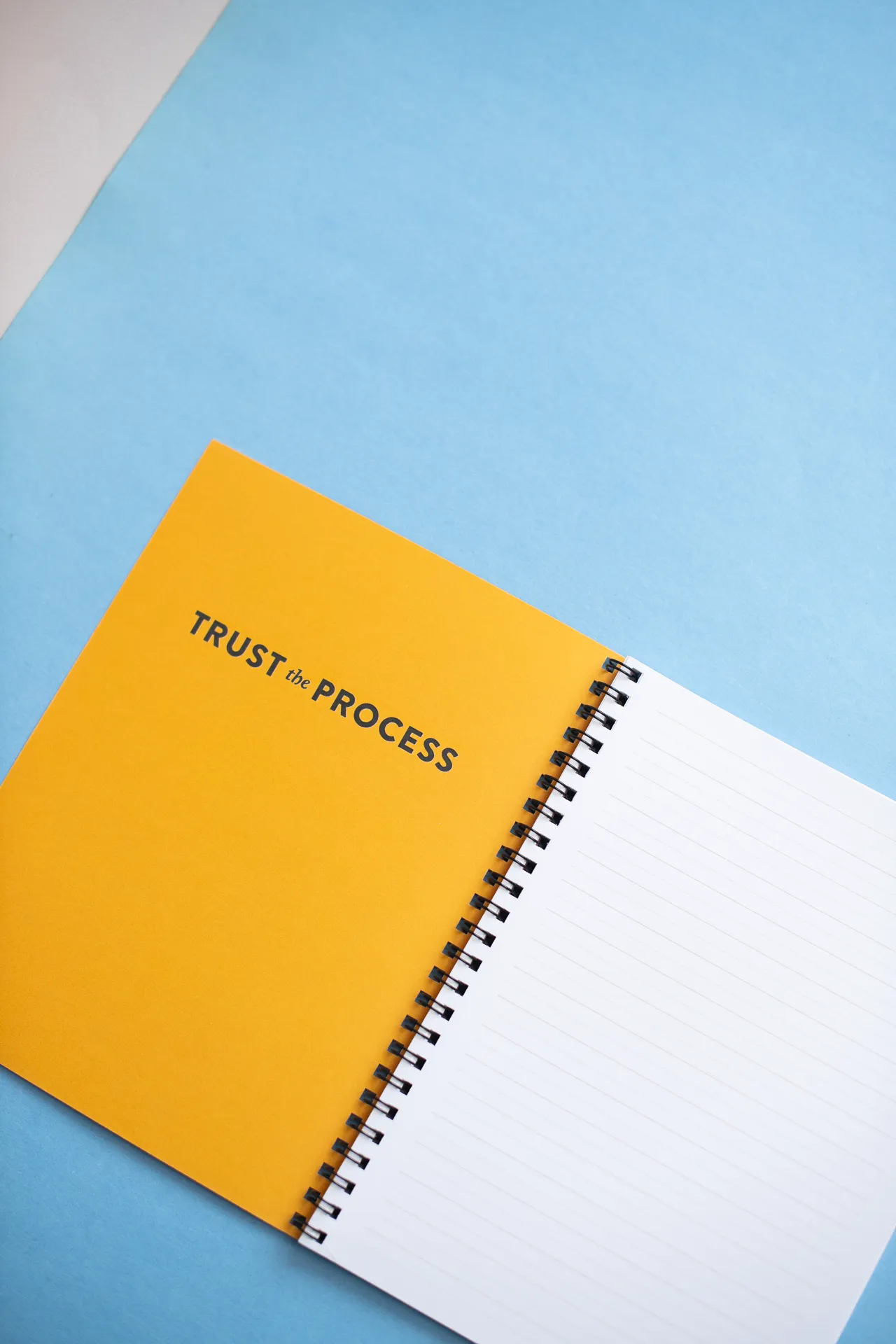 Recess : Trust The Process Notebook